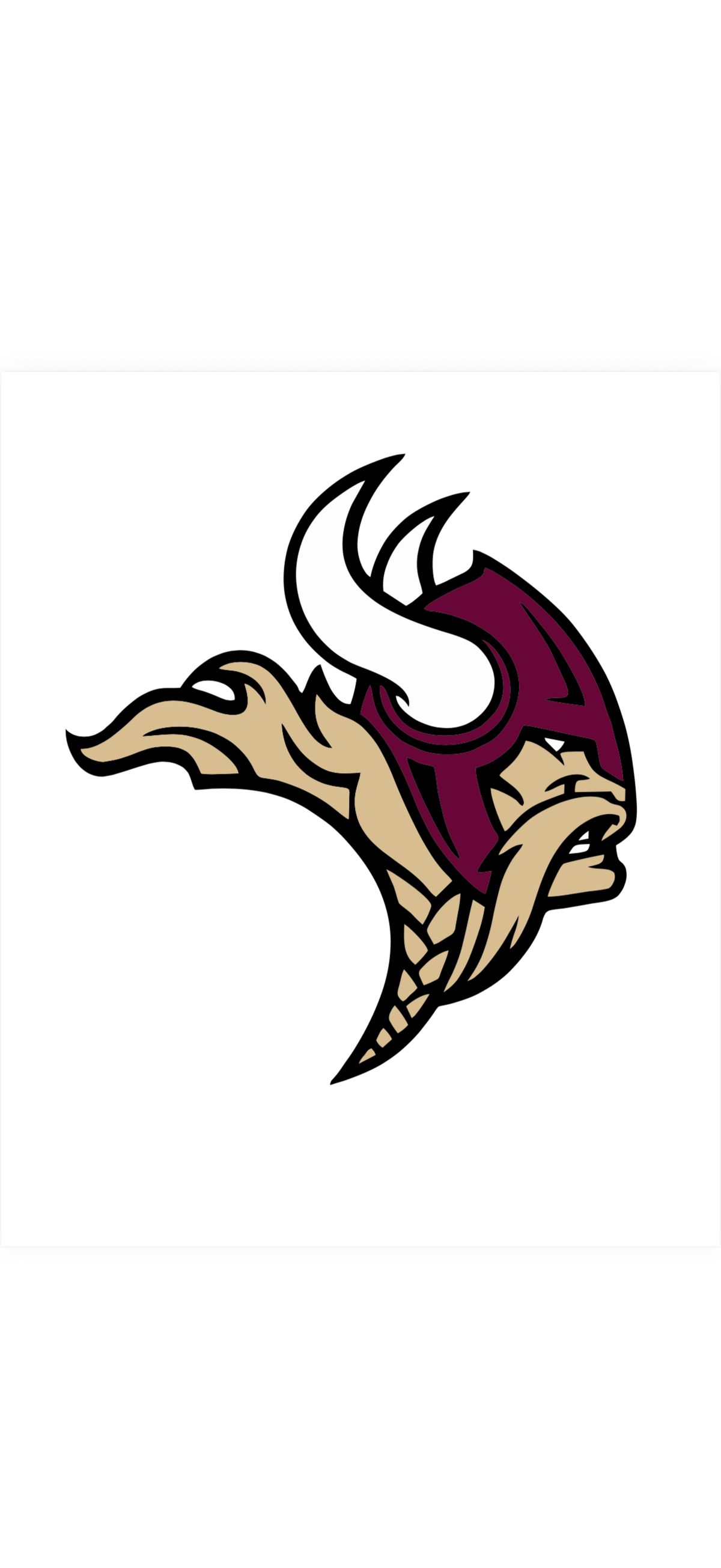 Thibodaux Vikings Football